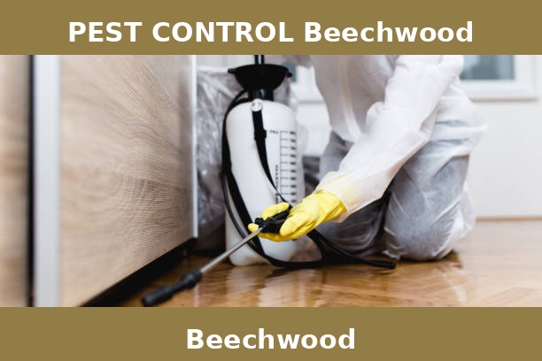 PEST CONTROL Beechwood